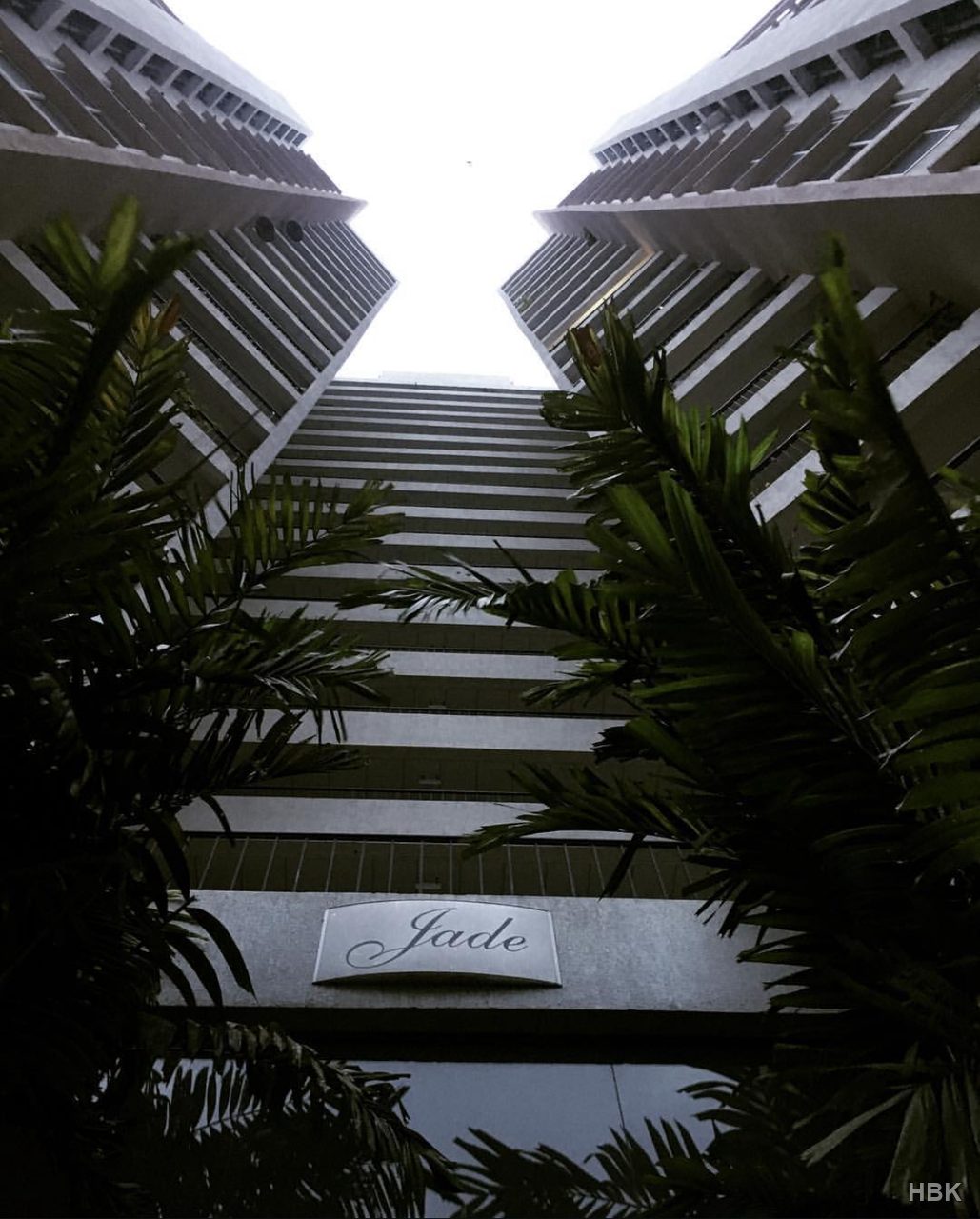 Upward view of buildings framed by palm leaves